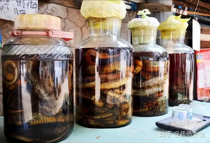 52岁男子肌酐1030祸根是这种药酒这5种中药泡酒要小心