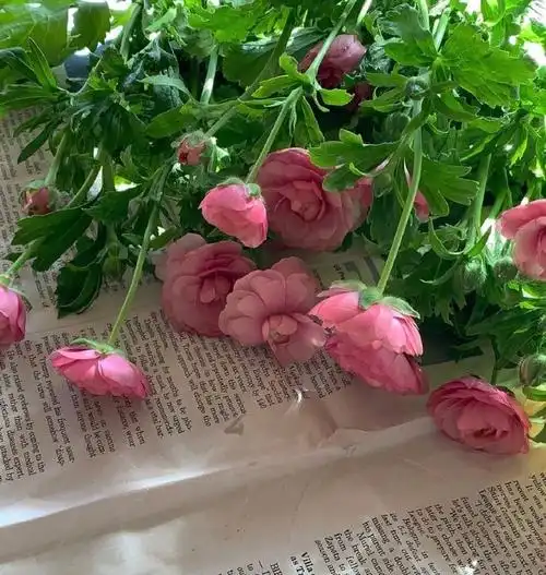 朋友圈背景 花朵图案 - 堆糖,美图壁纸兴趣社区