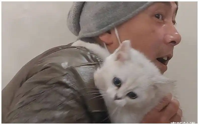 59岁张卫健突发意外!