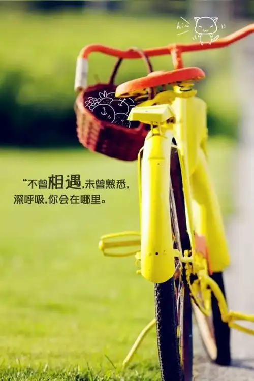 唯美带字意境lomo小清新风格图片