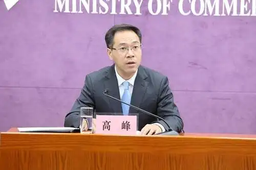 商务部新闻发言人高峰