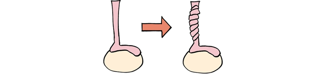 蛋蛋的一万种死法!看完疼哭了哈哈哈哈!
