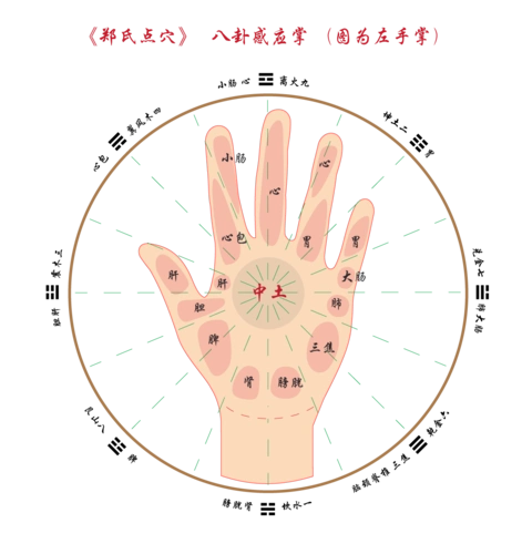 展开全部 你看一下八卦感应掌这个图. 向左转  向右转