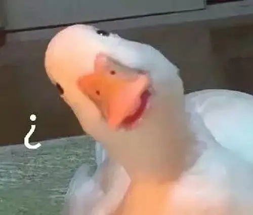 找一个emoji 是一个大白鹅歪着头 汉字可能是凝视