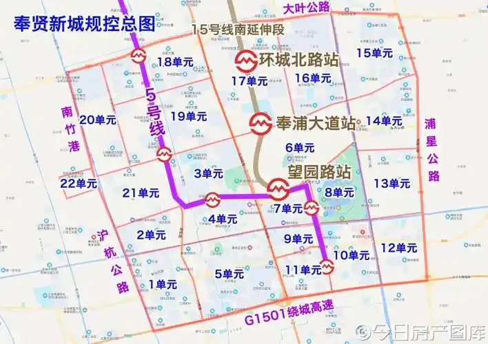 双轨交新城登场_奉贤区_枢纽_美谷