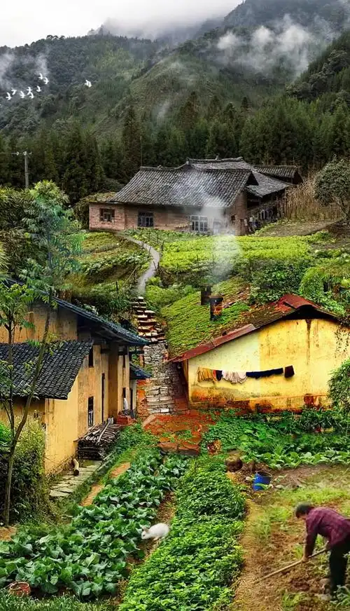 农村很多年轻人都出远方打工只有老前辈留在家乡种地干农活