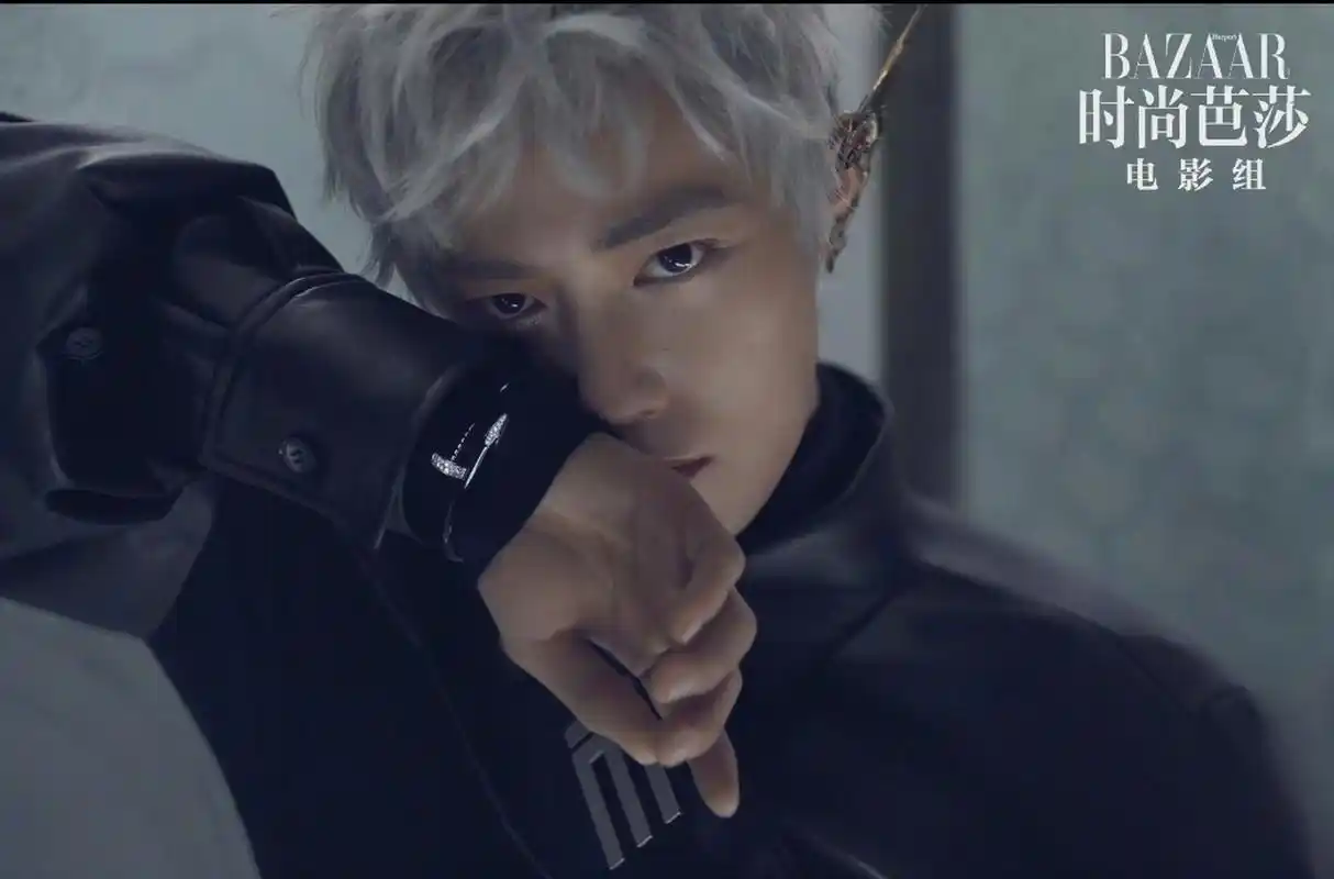 肖战# 再来欣赏一遍银发造型的肖战,帅太超过了!