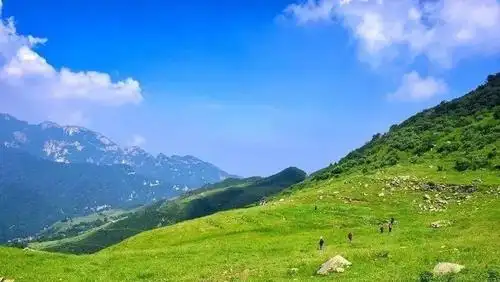 秦岭十二印象丨流峪高山草甸6月14日丨慢享高山田园风光探秘秦岭世外