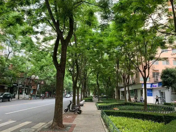 齐子林(摄于2020年5月7日上午)昌平路,康定路街景诉上海老底子情叙