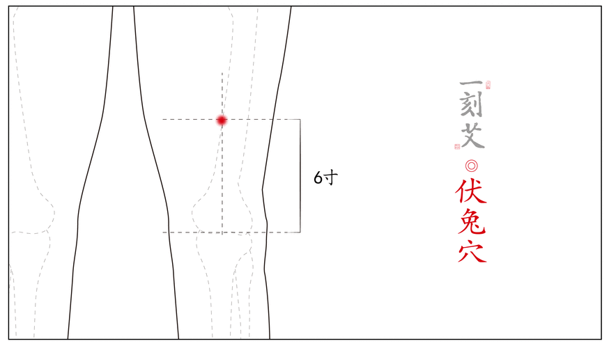 养颜美身灸丨瘦大腿的艾灸疗法