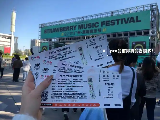 广州草莓音乐节