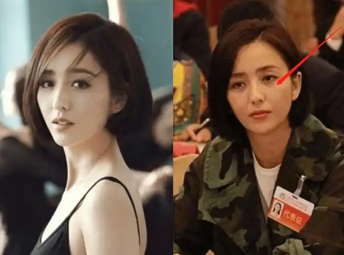 佟丽娅素颜赴人大引热议!