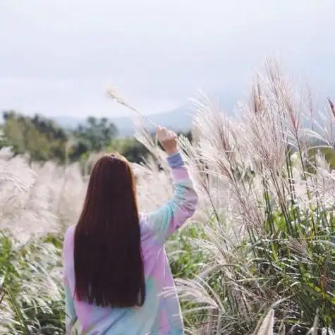 青元攻略网 - 游戏高手实战经验,新手玩家进阶指南