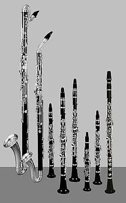 bb中的低音单簧管,f中的低音号角,d,bb,a,高g和eb的单簧管,a中的贝司