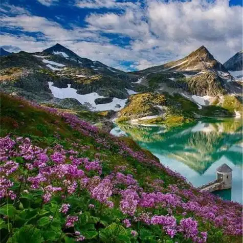 2022年吉祥好运图片风景头像