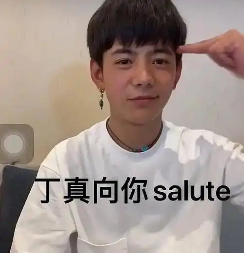 跪求宝贝那个向你salute的表情包
