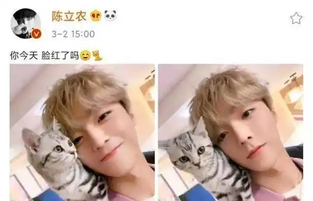 原创蔡徐坤学猫叫表情真逗陈立农晒和猫咪自拍爱猫男孩你pick哪个