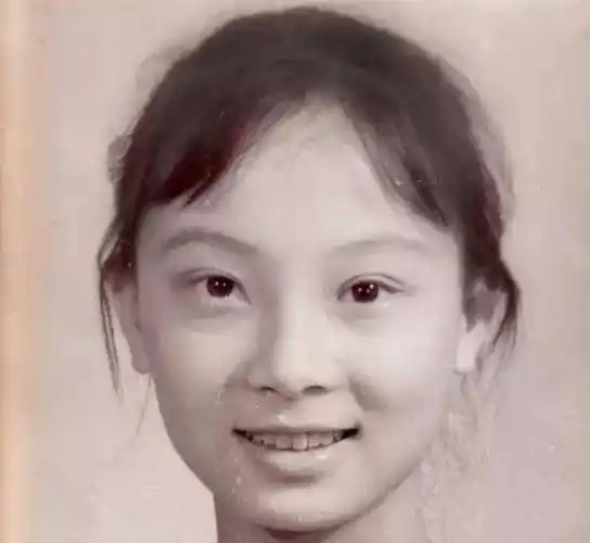 陈数电视剧图片_陈数的电视剧照片_电视剧演员表陈数