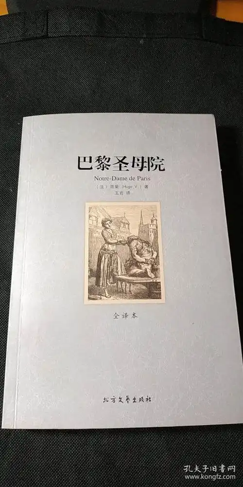 世界文学名著:巴黎圣母院