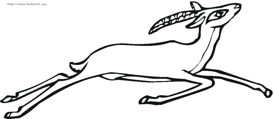 羚羊简笔画3款羚羊简笔画图片 羚羊的简单画法大全羚羊超简单简笔画