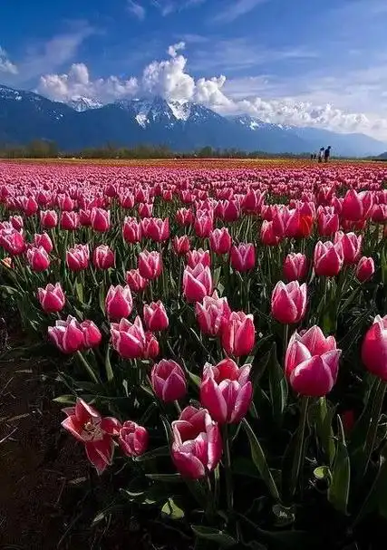 全球最美的风景,中国有一张入选!