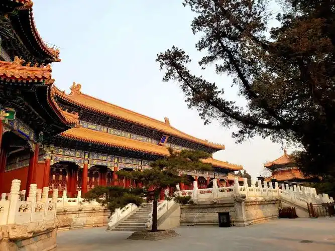 是中国古代汉族宫殿建筑之精华.北京市少年宫迁出后