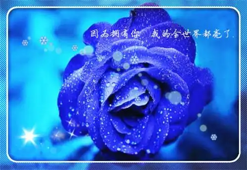 早安温馨唯美句子 早安心语简短一句话 蓝色妖姬唯美带字图片