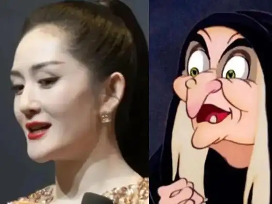 谢娜出席红毯脸僵下巴尖被嘲像巫婆连生3女后曝婆家催生儿