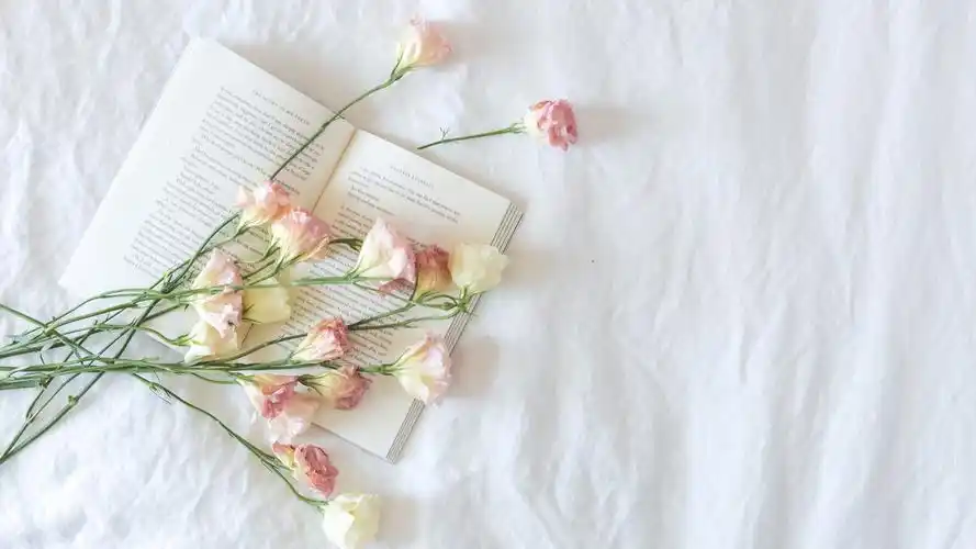 简约淡雅 床花 书的照片4k图片壁纸简约淡雅壁纸图片_桌面壁纸图片