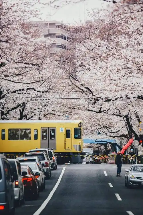 1080_1620竖版 竖屏