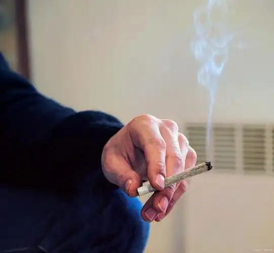 故事:我死后,妈妈怀了男胎,令我没想到的是妈妈怀孕和老公有关