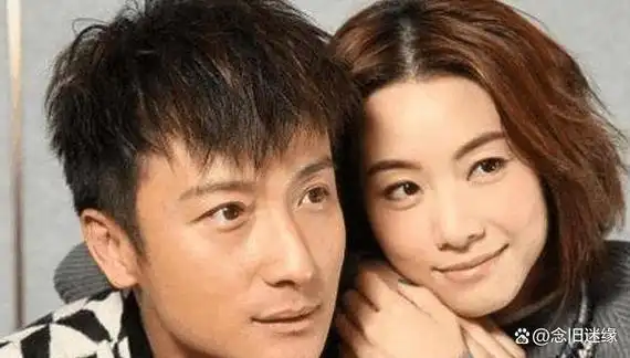 然而,在媒体曝光了两人经常一起吃饭的场面后,方力申和邓丽欣不得不