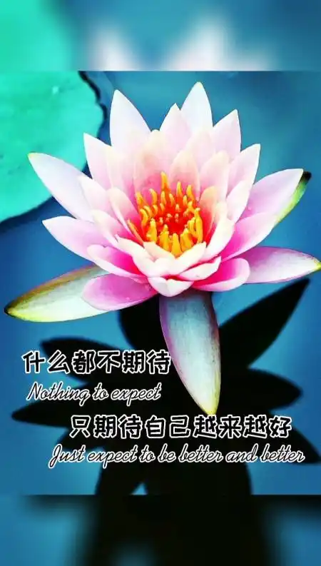 什么都不期待,只期待自己越来越好