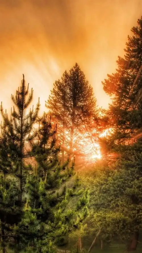 首页 自然与风景 日落和日出