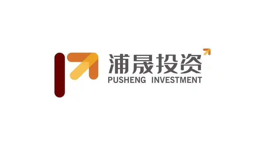 浦晟投资公司金融logo设计vi设计