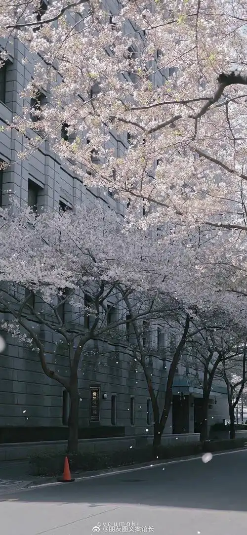 朋友圈文案##文案##壁纸##手机壁纸##无水印壁纸##高清壁纸##堪爱