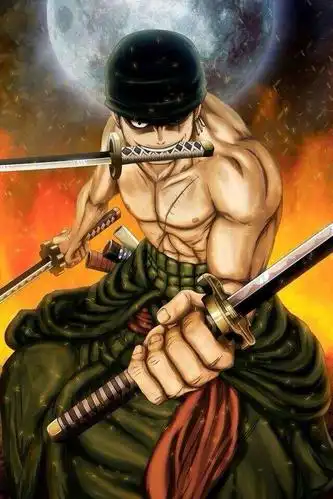 我有更好的答案 10条回答 海贼王索隆.