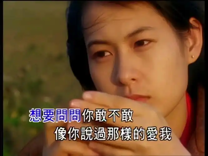 刘若英-为爱痴狂