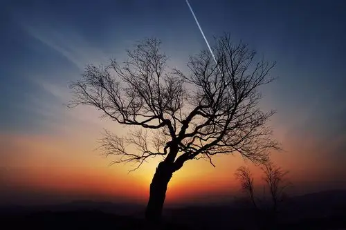 夕阳无限好,只是近黄昏