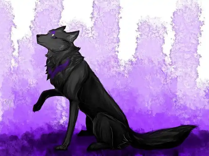 作品id:274 浏览量:572         发布时间:2015-09-14 20:29 种族:狼