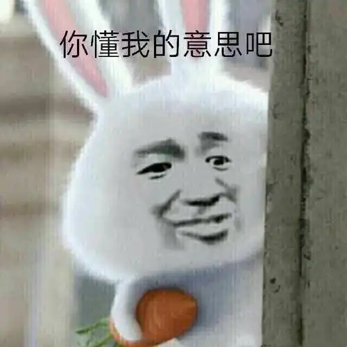 你懂我的意思吧热门表情包精选2017121斗图表情