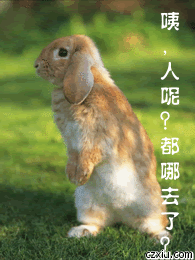 人呢gif哪里去了gif没人gif寻找gif