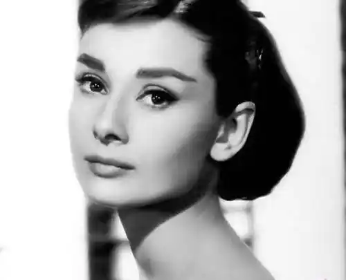 刘涛王祖贤奥黛丽-赫本 全球最美女星盘点