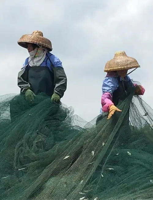 南三岛上捕鱼去