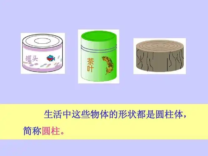 最新西师版六年级数学下册《圆柱的认识》优质课件教学ppt