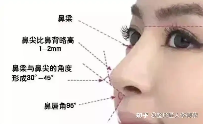 怎么样知道我是塌鼻梁还是高鼻梁? - 知乎