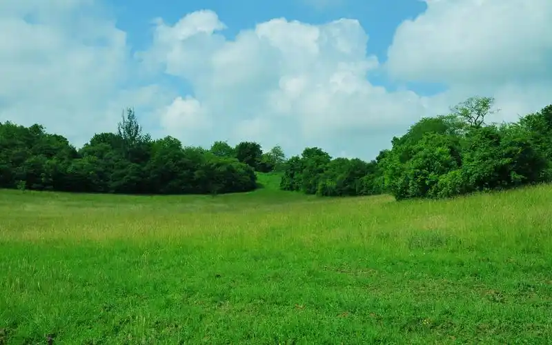 清新护眼绿色草地风景桌面壁纸