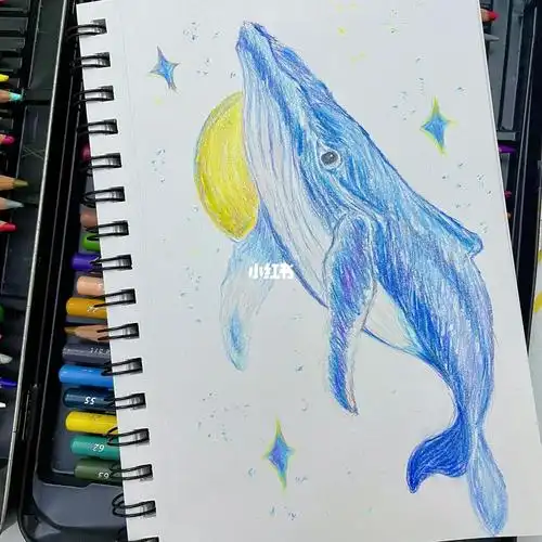 彩铅鲸鱼
