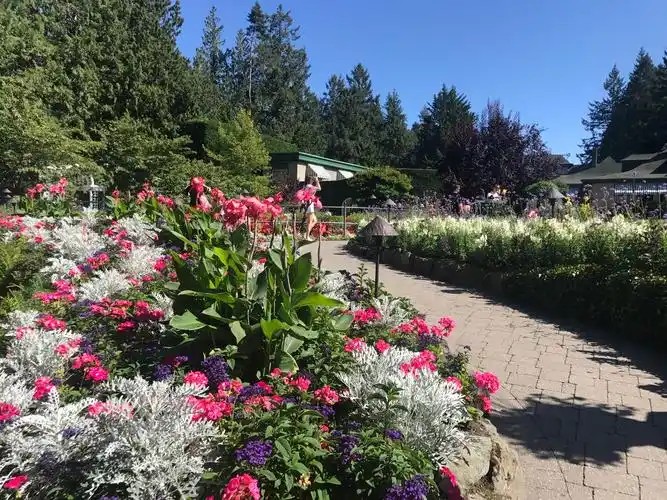 加拿大一瞥18●布查特花园,一座鲜花之城秉性的诠释