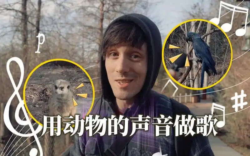 用动物的声音做shivers袋鼠鹦鹉谁才是真正的动物园好声音